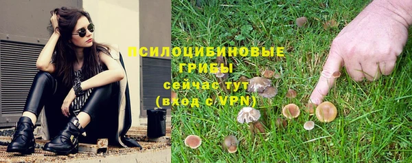 стаф Дмитров