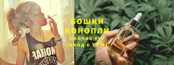 амф Дмитриев