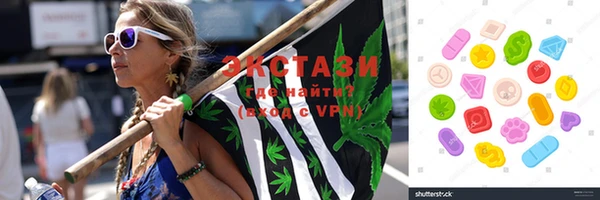 винт Ельня