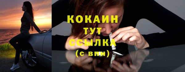 амф Дмитриев