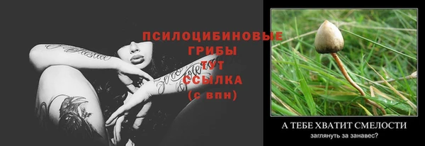 дживик Щучье