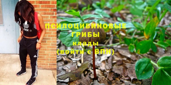 MESCALINE Елизово