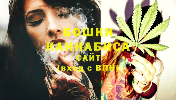 винт Ельня