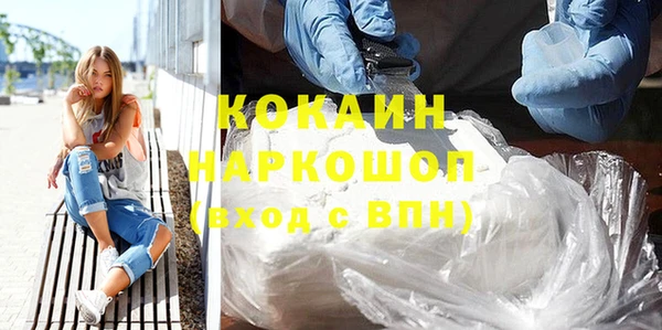 стаф Дмитров