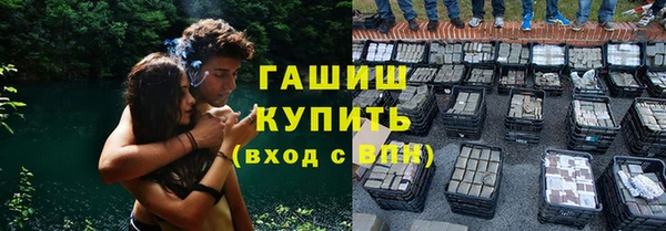 винт Ельня
