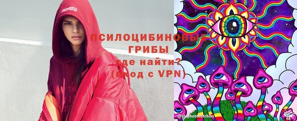 дживик Щучье