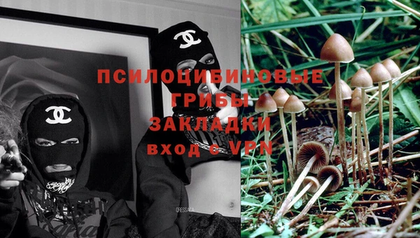 спиды Елабуга
