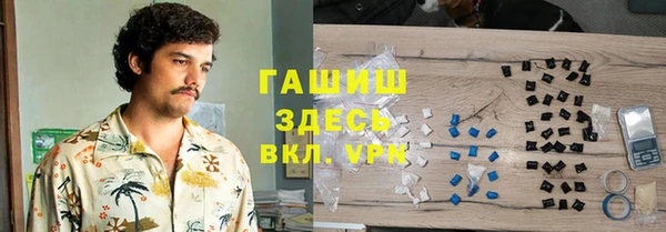 винт Ельня