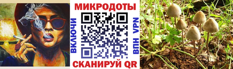 Купить закладки  Краснослободск  Галлюциногенные грибы мухоморы 